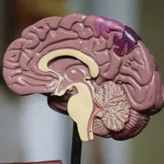 Alzheimer in crescita, ricerca italiana all'avanguardia