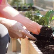 Il gusto del creato: la terra che fa comunione