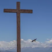 Perfetta letizia il mio fallimento