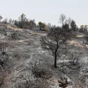 L'Algeria vara la pena di morte per i piromani. La moratoria in vigore dal 1993 è a rischio