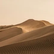 Non risposte ma domande: che cosa ci insegna il silenzio dei Padri del deserto