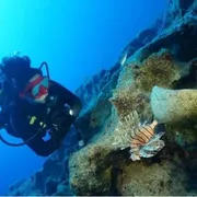 Una donna con muta da sub esplora un fondale marino dove ci sono resti di anfore