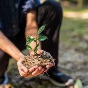 Custodire il territorio: un “fronte” per il bene comune e la prossimità