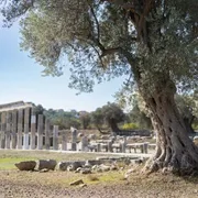 Nell'antica Grecia i maestri di musica guadagnavano più di tutti. E a scuola andavano anche le ragazze