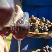 Masi e Törggelen: l'autunno di gusto nell'Alto Adige