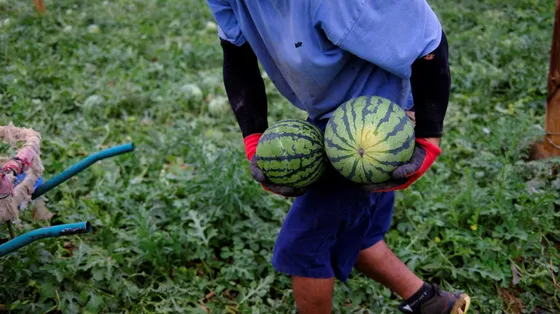 In Spagna hanno chiesto la regolarizzazione 900mila immigrati