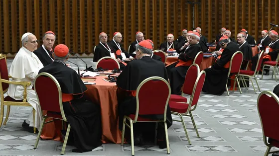 «Noi cardinali, il Concistoro e il dialogo con Leone XIV: così vogliamo accompagnarlo da vicino»