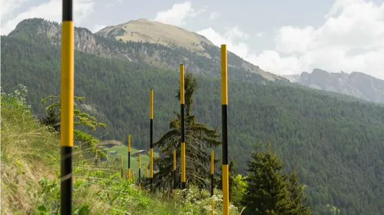 La Biennale Gherdëina mette al centro l’idea dell’Eden possibile