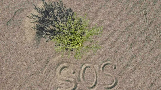 Il Po a secco, i campi del Delta senza irrigazione: l'emergenza siccità è all'inizio