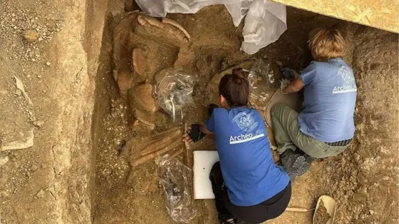 A Sirolo una tomba principesca con carro riscrive la storia dei Piceni