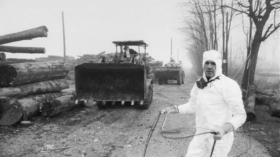 La diossina e Seveso: il racconto della catastrofe 50 anni dopo