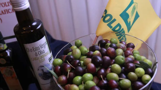 Nuove norme per le etichette evo: l'olio extravergine non potrà essere miscelato