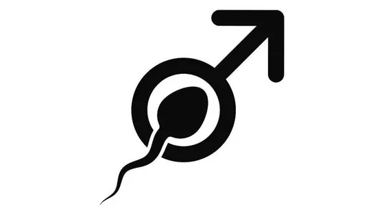 Così l’ovocita attira lo spermatozoo “migliore”