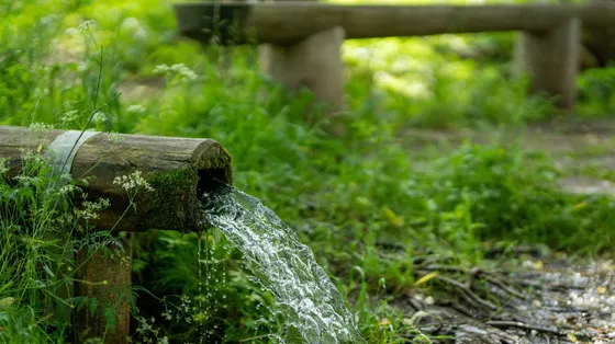«Abbiamo bisogno di un’altra acqua minerale?»: la sorgente che divide la Valle d'Elvo