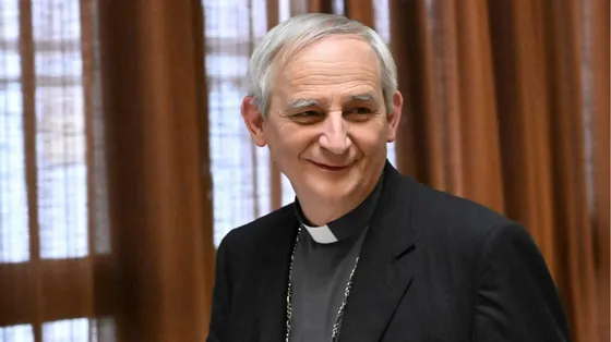 Il cardinale e presidente della Cei Matteo Zuppi / ANSA