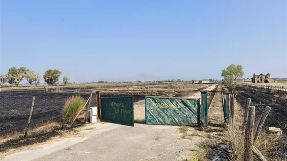Castel Volturno, incendio distrugge il Parco La Piana: l'ombra del dolo