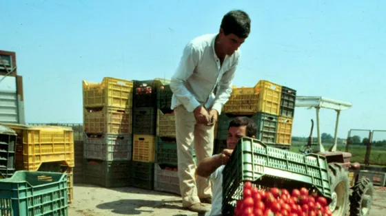Il bracciante 19enne stroncato da malore e il divieto di lavorare nelle ore più calde