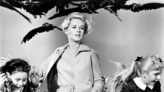 L’incubo degli uccelli iniziò ben prima di Hitchcock