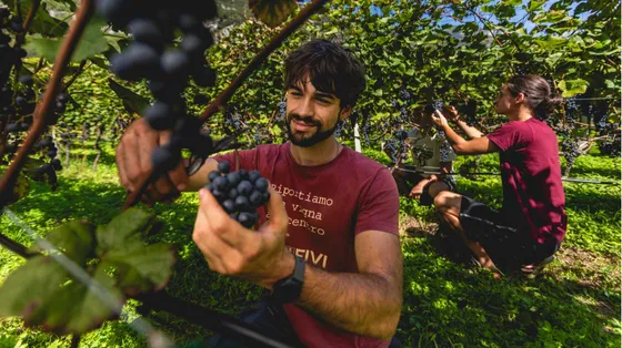 Custodi del territorio: i vignaioli della Fivi per la prima volta saranno al Meeting di Rimini