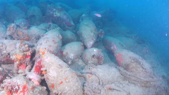 Trovato nel mare di Mazara un relitto romano con centinaia di anfore