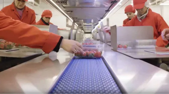 Scatta la stretta sugli imballaggi, meno Pfas a contatto col cibo