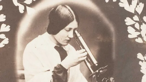 Curare, conoscere, trasformare: la medicina plurale delle donne