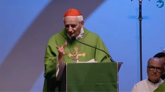 Il cardinale Zuppi durante la Messa al Meeting di Rimini