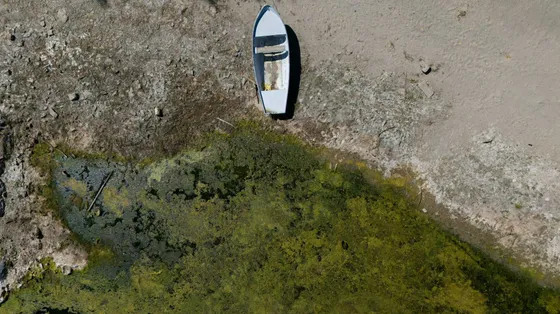 L'estate sta finendo, il caldo non se ne va: nel cuore d'Europa scene mai viste