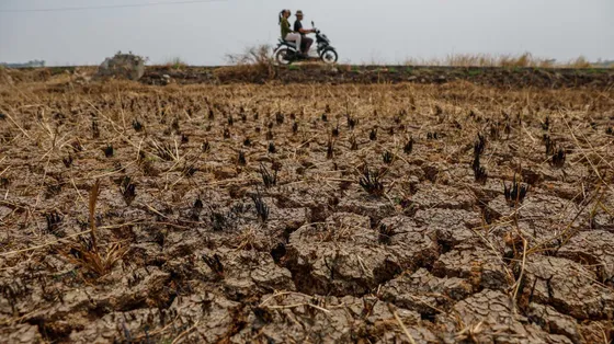 Il cambiamento climatico mette a rischio l'approvvigionamento di cibo: il report-choc degli 007 inglesi