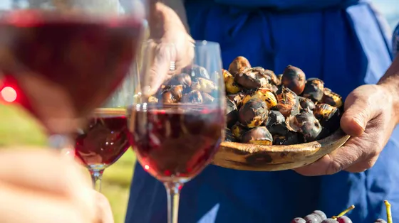 Masi e Törggelen: l'autunno di gusto nell'Alto Adige