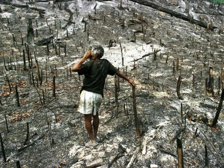 Ambiente, 1.746 guerre «invisibili»