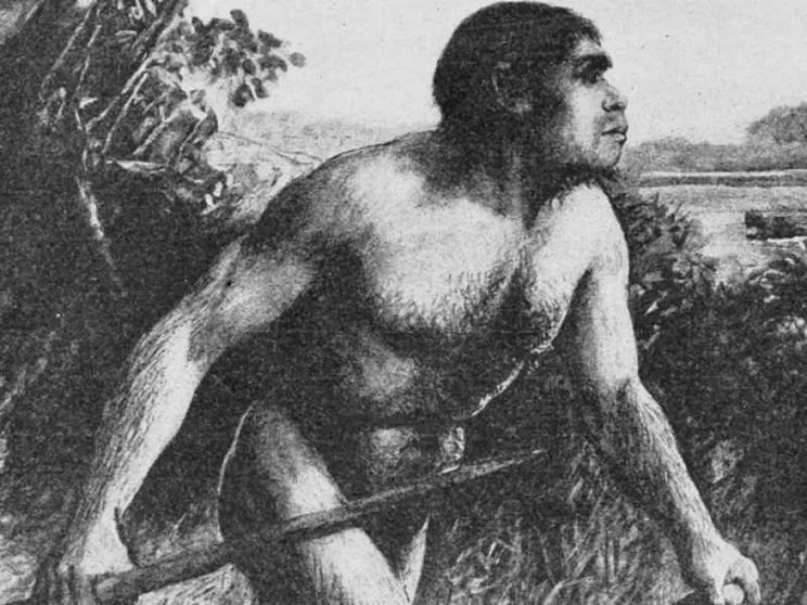 L'Uomo di PILTDOWN, il falso anello mancante