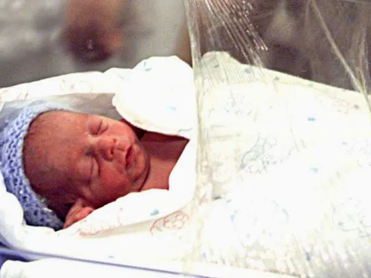 Tribunale riconosce figli da utero in affitto a coppia gay