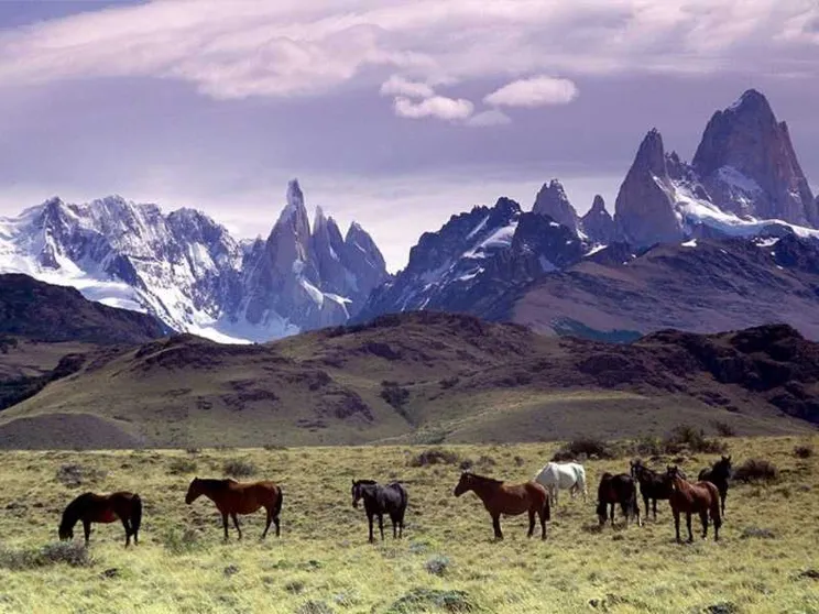Regala migliaia di ettari di terra per creare un parco naturale in Patagonia