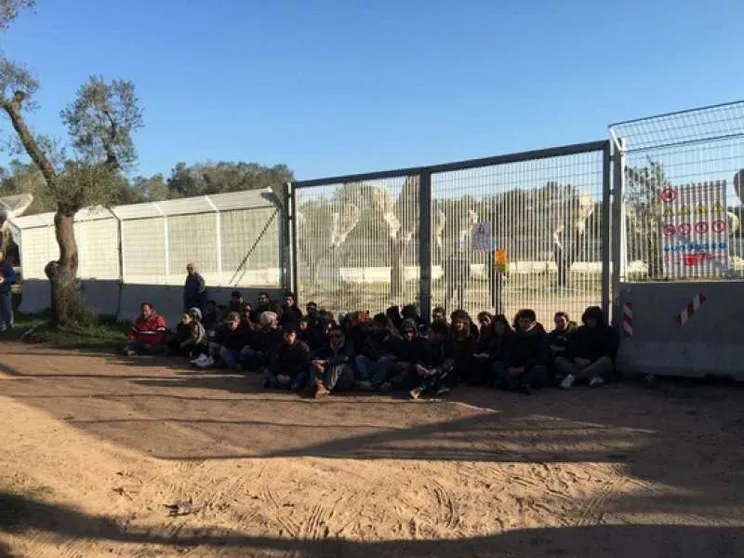 Ulivi espiantati, ancora scontri tra polizia e manifestanti
