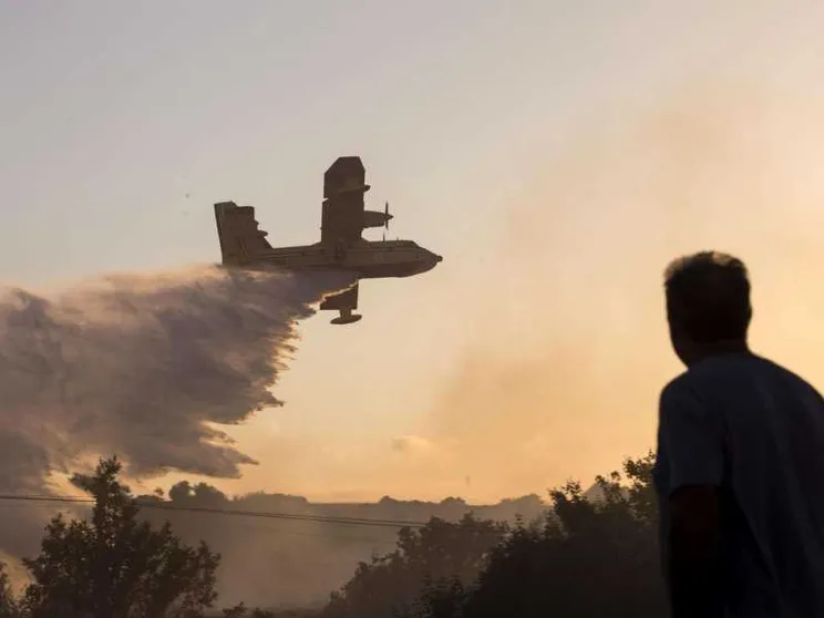 Incendi sul Vesuvio, «calamità criminale»