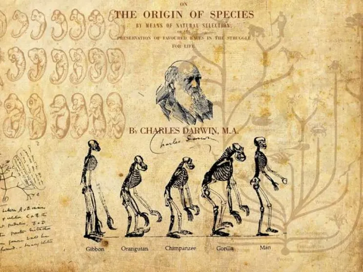 Erdogan «purga» anche l'evoluzionismo di Darwin
