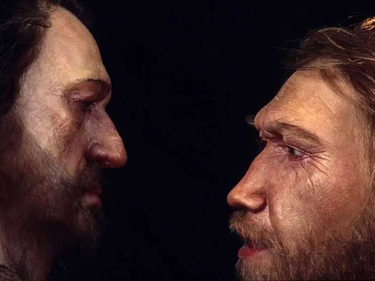 Sapiens e Neandertal, la storia di un incrocio