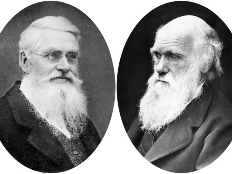 Darwin, il caso Wallace e la mano di Dio