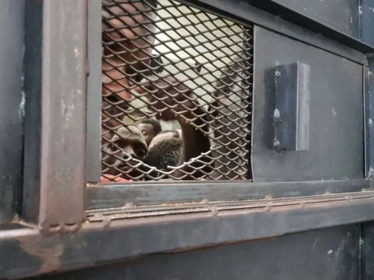 Libia, fuori controllo i centri di accoglienza (o «detenzione») per migranti