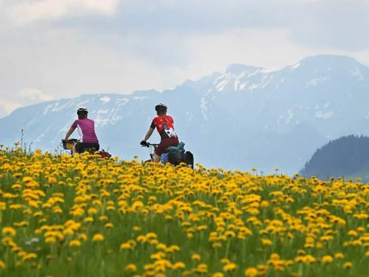 Tutti in bici e... pedalare fa bene anche all'economia