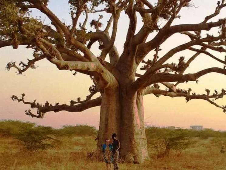 Senegal, viaggio nel paese africano dove dialogano islam e cristianesimo