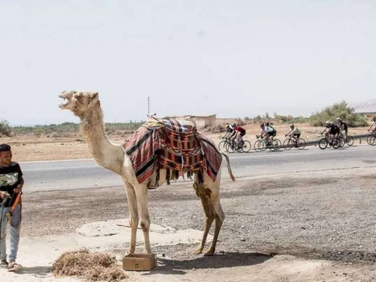 Se il Medio Oriente ora fa un tour tutto suo