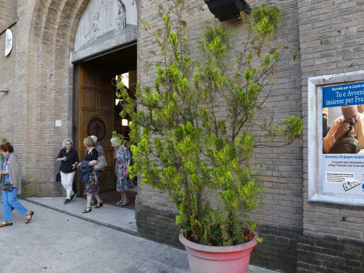 Giornata per la Carità del Papa: leggi Avvenire, aiuti Francesco