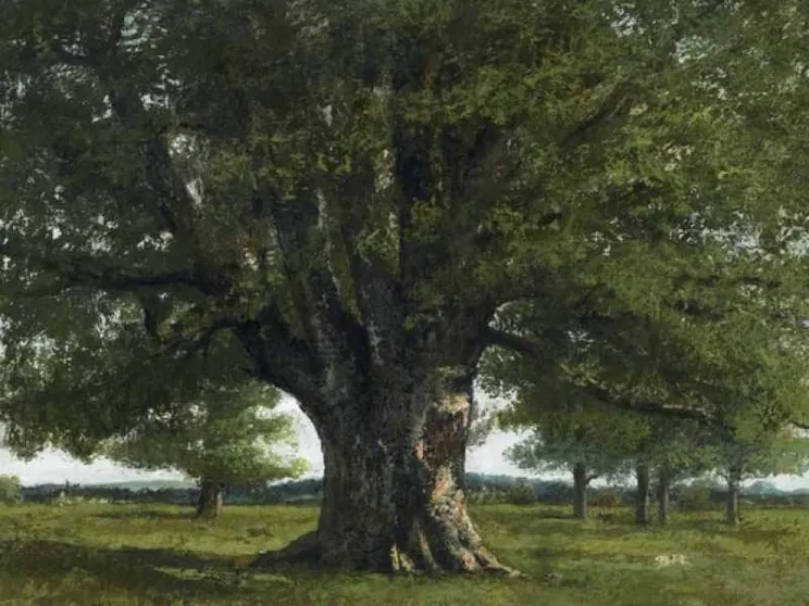 Courbet e le seduzioni di Madre-Materia