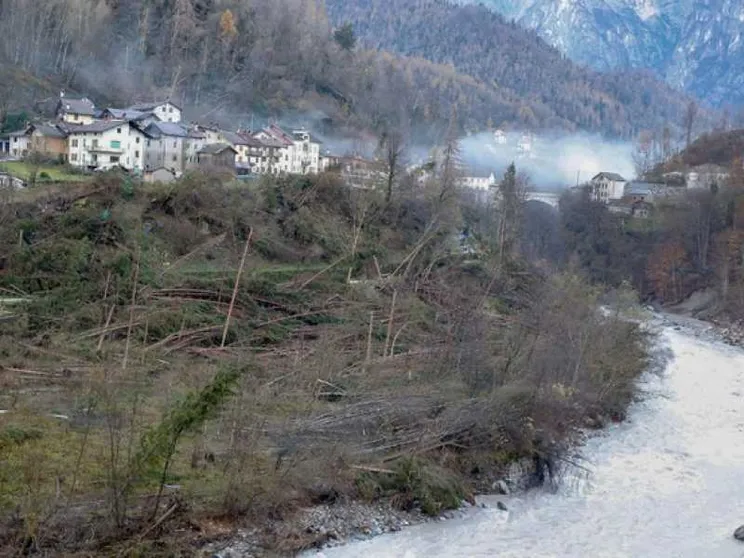 "Più risorse per curare i boschi"
