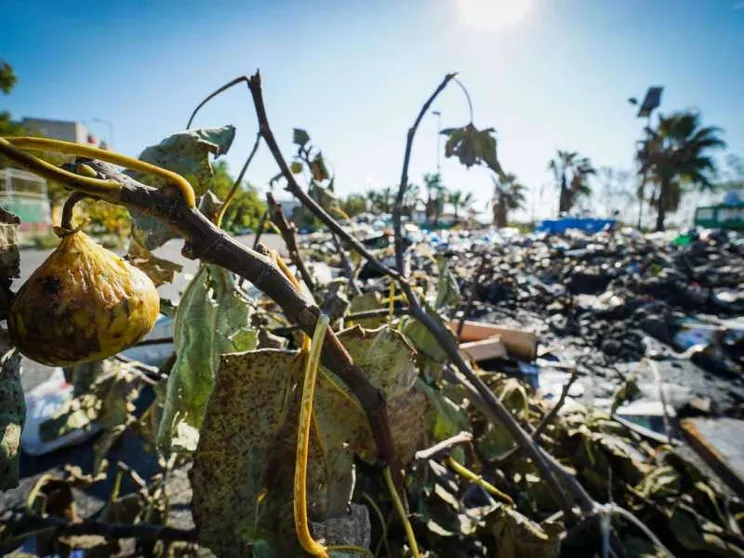 Inceneritori, termovalorizzatori & co: ecco cosa c'è da sapere