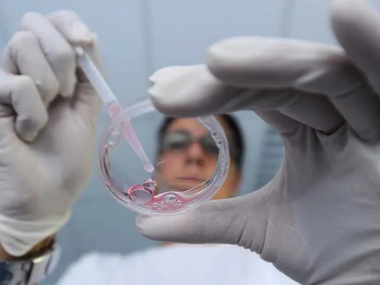 Cina choc: «Ecco i primi bambini con il Dna modificato»