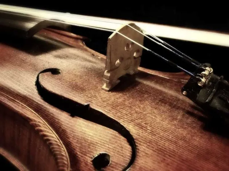 Svelato il segreto della vernice degli Stradivari