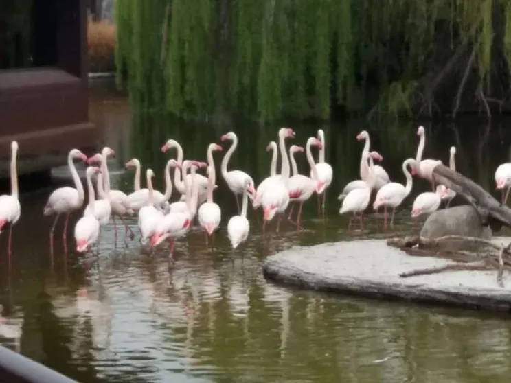 Posti di lavoro con il bioparco
